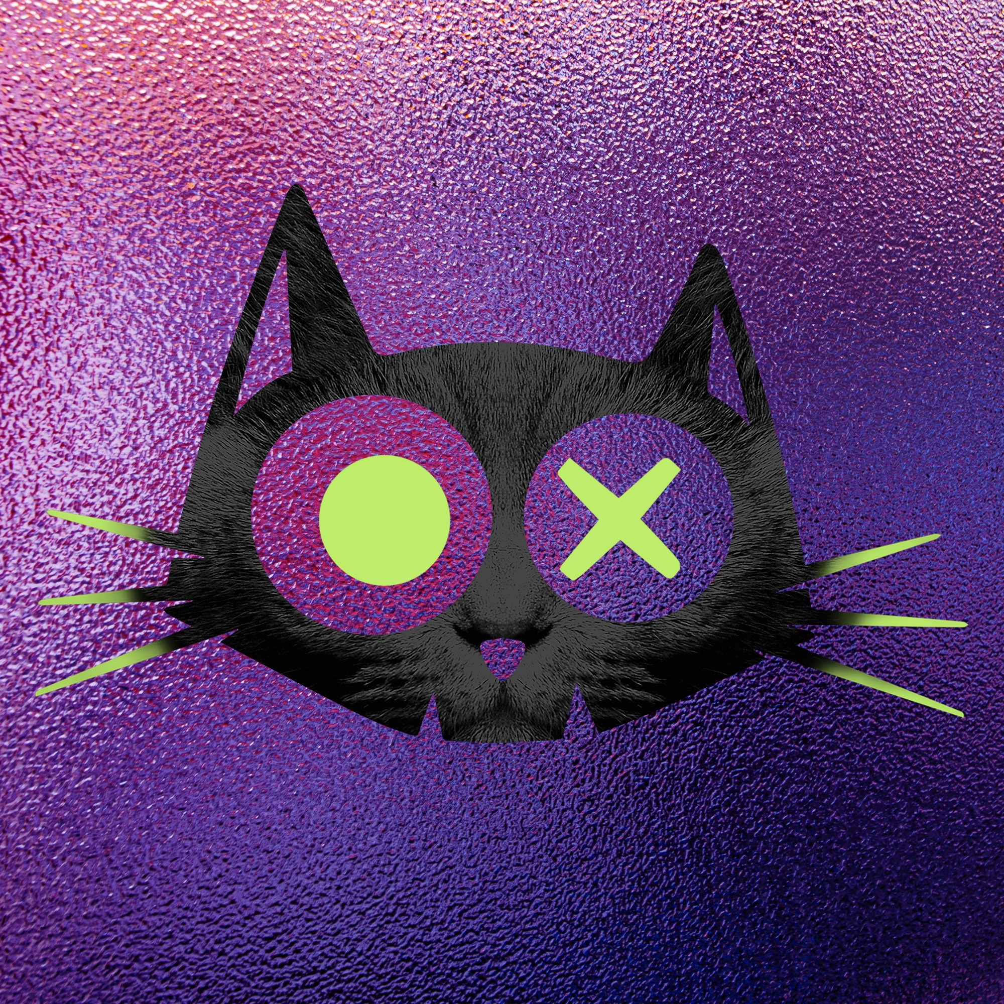 K6AJEODLH7QUQXJJN7AJ2NORVM