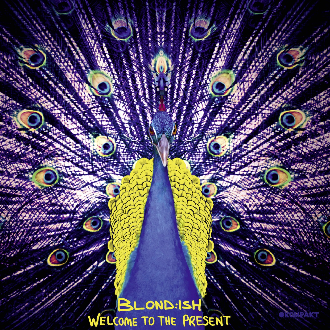 Velvet Wave (Slow version)